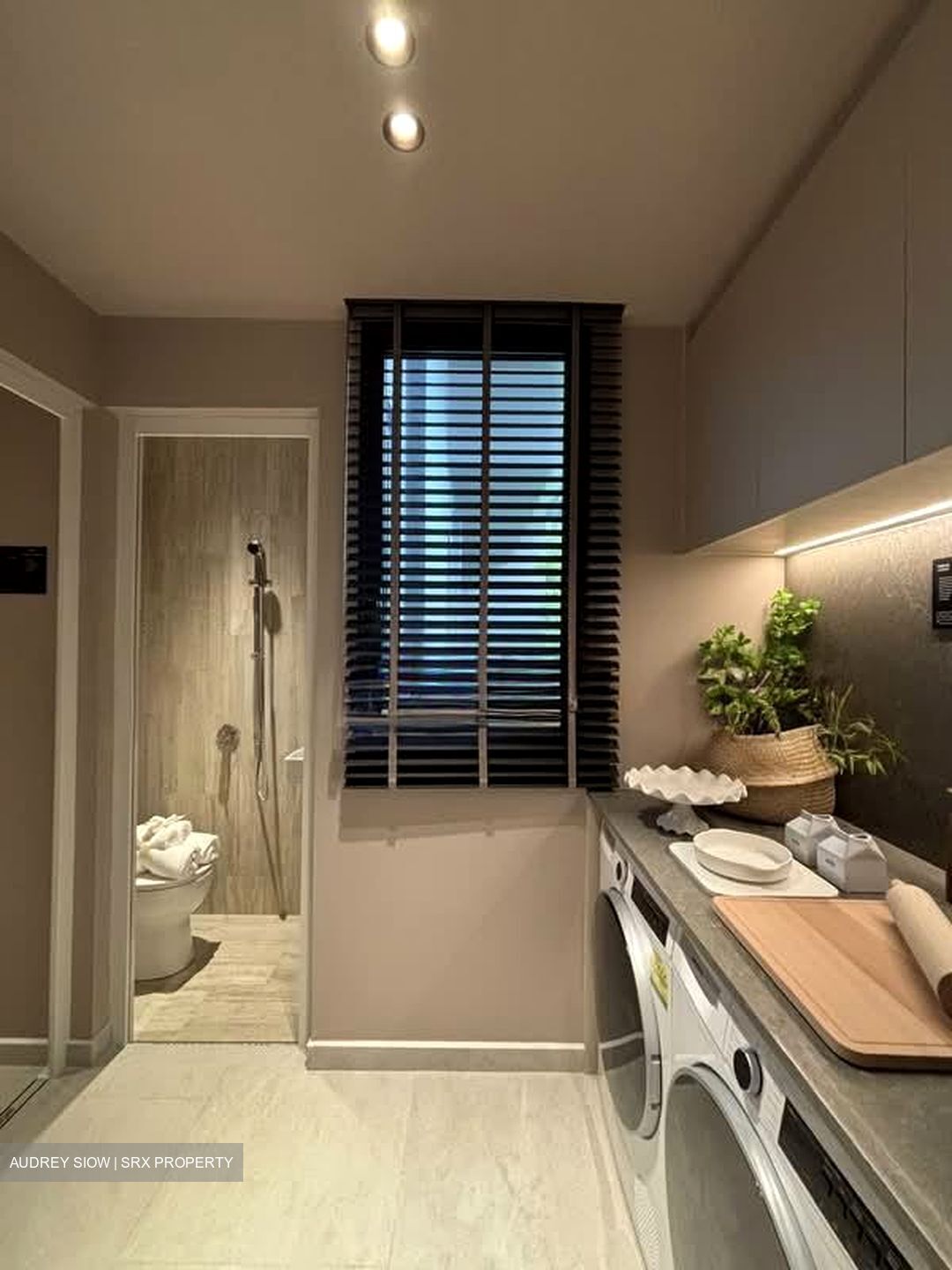 Thomson View Condominium (D20), Condominium #527436911